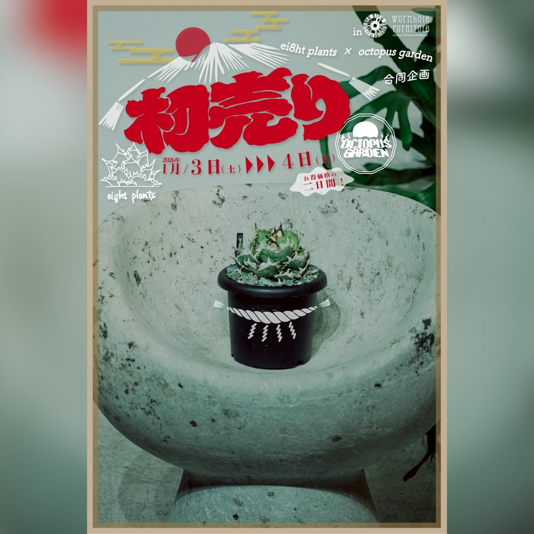 園芸店武蔵野花壇がコレクターズプラントフェア2026を開催、多肉植物アガベ塊根系の出店が埼玉久喜に集結