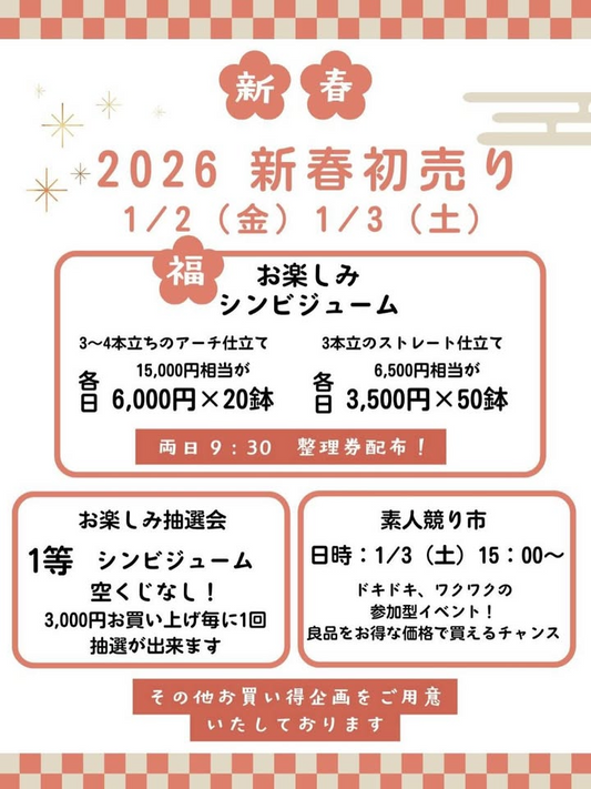 赤塚植物園FFCパビリオンが2026新春初売りを開催、シンビジューム福袋と抽選会が津市で実施