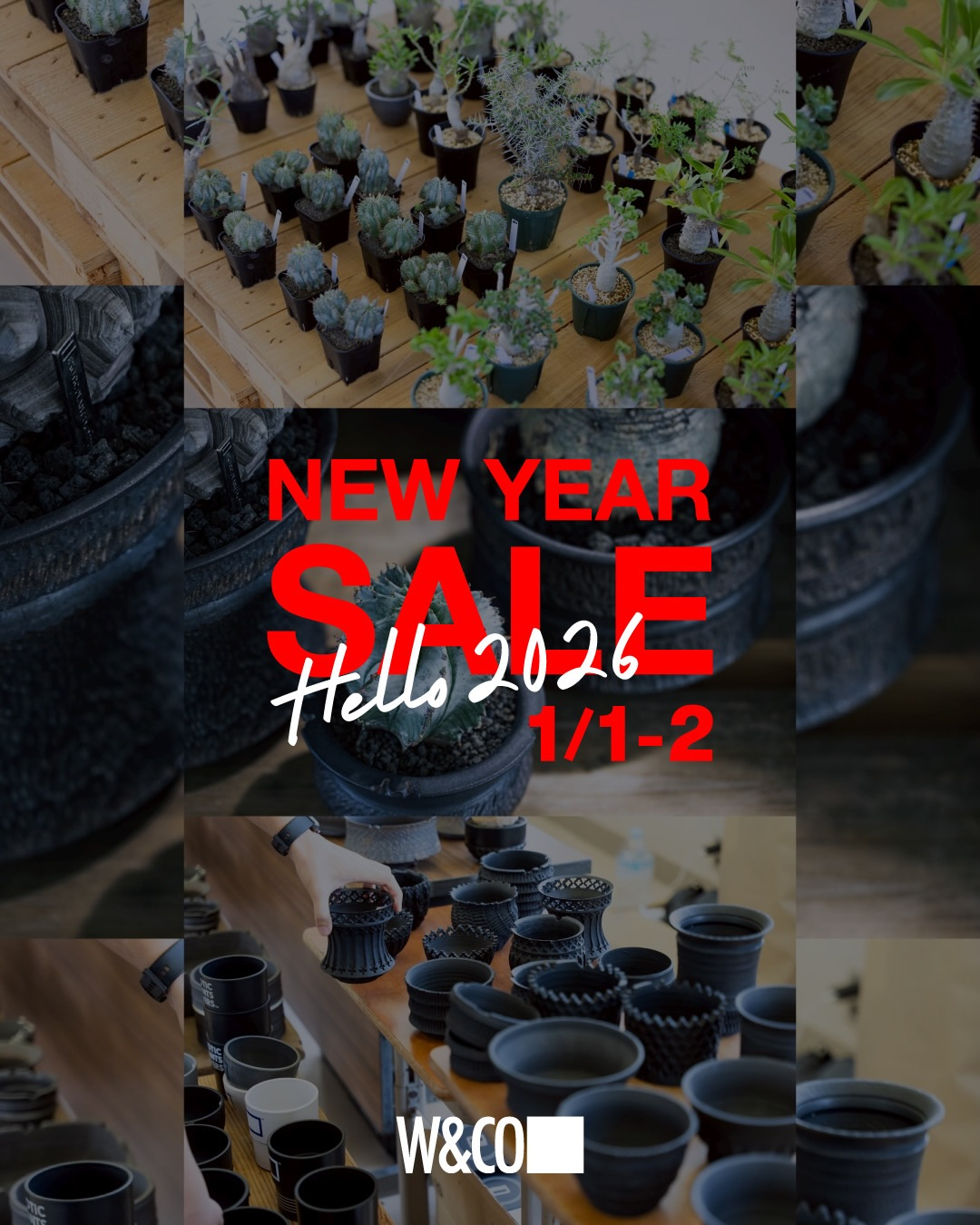 W&Co.（ダブルアンドコ）がNEW YEAR SALEを開催、鳥取で植物と植木鉢の割引販売が注目を集める