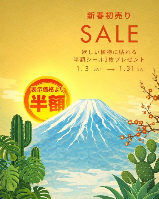 らくうぇるが新春初売りSALEを開催、半額シール配布で観葉植物の循環を後押し