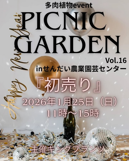 キングプランツがPICNIC GARDEN Vol.16初売りを開催、福箱セット多数の多肉植物販売が仙台に集結