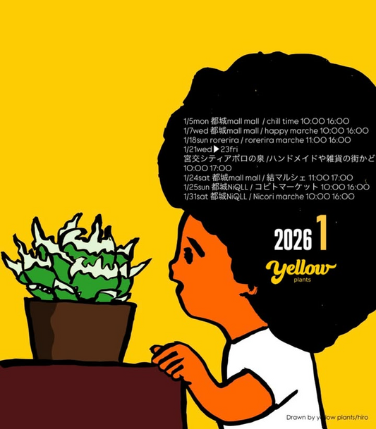 四国造園が四国造園多肉植物初売り2026を開催、多肉植物とリメイク鉢の出品者が阿見町に集結