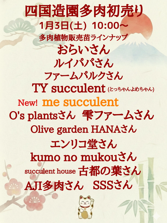1000's BASEが1000'sの初売り福2026を開催、福BOX販売と趣味家出店が丸森町に集結