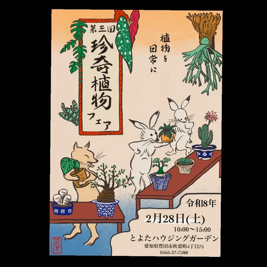 第三回珍奇植物フェアが開催決定、ビザールプランツと塊根植物の販売が豊田に集結