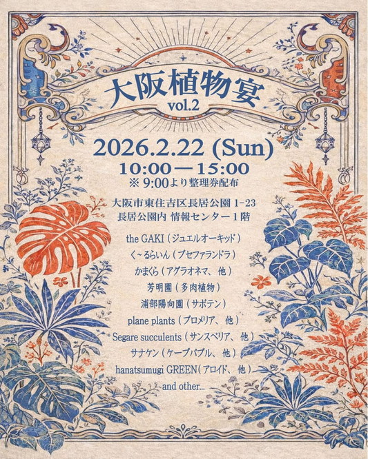大阪植物宴 vol.2が開催決定、長居公園内情報センターにジュエルオーキッドやアロイドが集結