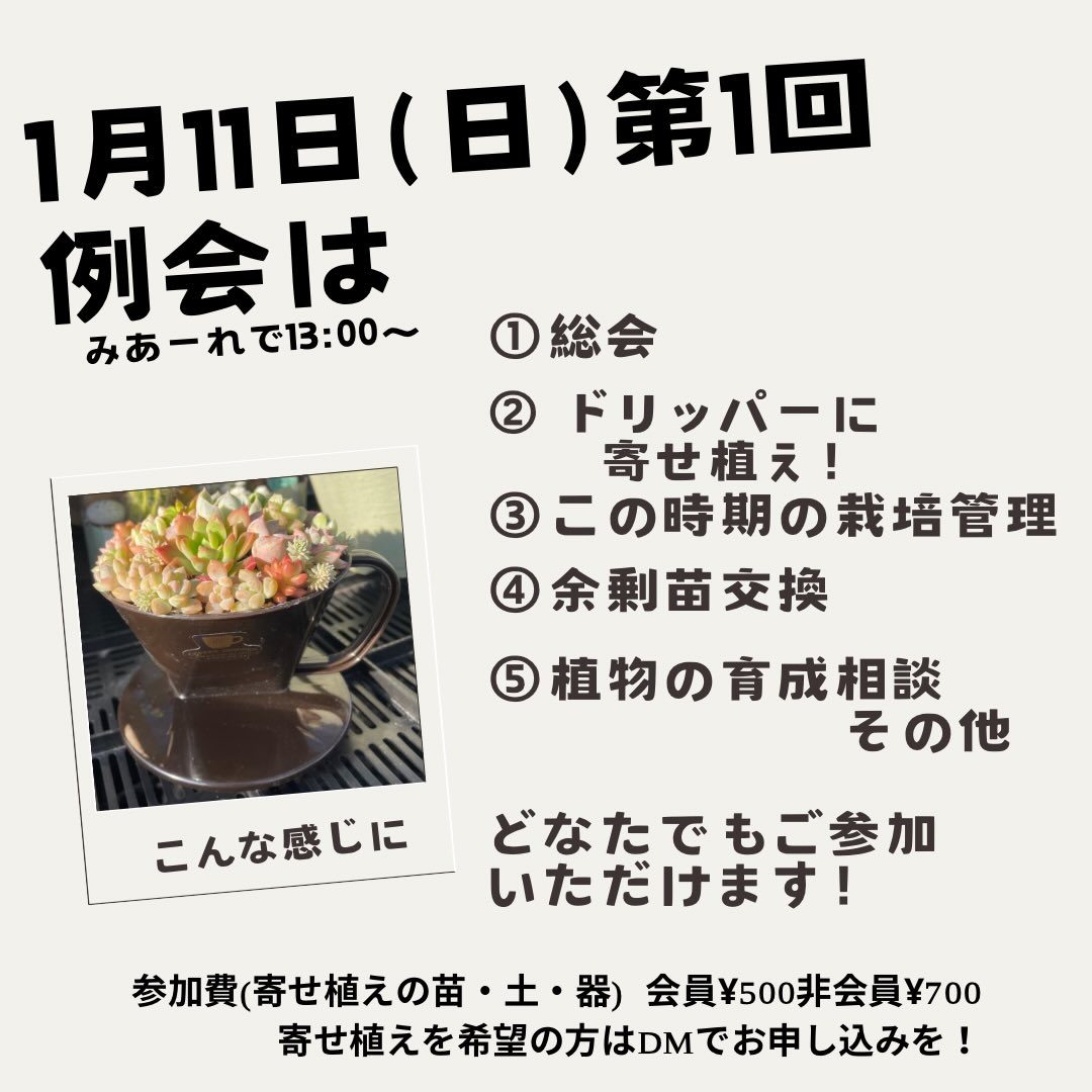 土佐室戸サボテンクラブが第1回定例会を開催、寄せ植えと栽培管理相談が愛好家の交流に