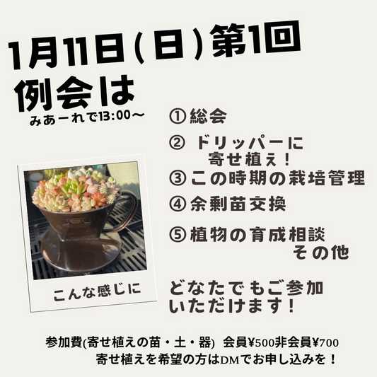 土佐室戸サボテンクラブが第1回定例会を開催、寄せ植えと栽培管理相談が愛好家の交流に