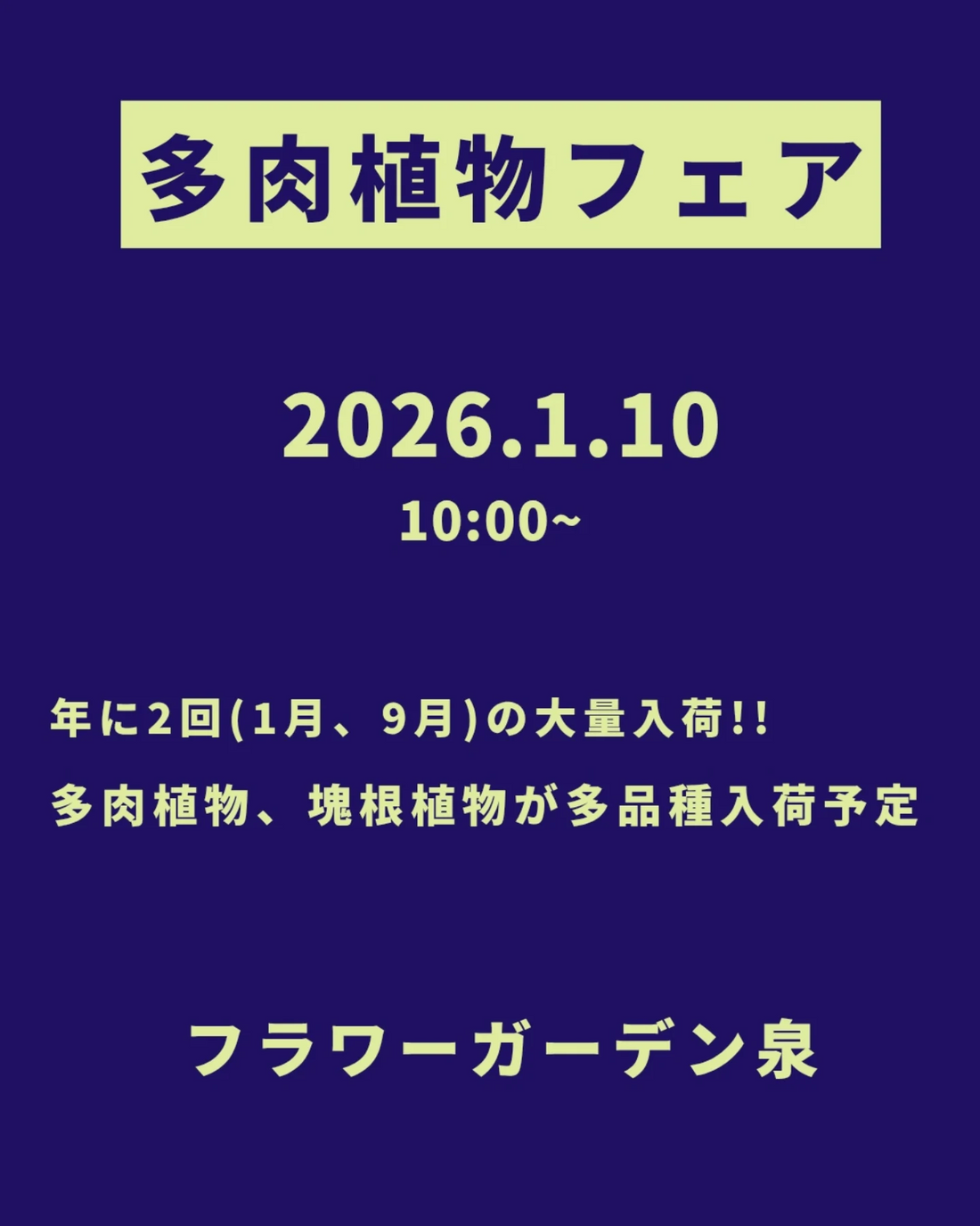 フラワーガーデン泉が多肉植物フェア2026年1月開催を実施、多肉植物と塊根植物の多品種入荷が前橋に集結
