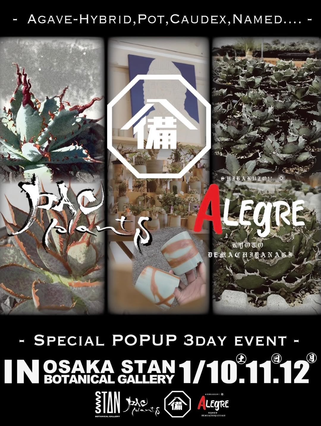 STAN BOTANICAL GALLERYがSPECIAL POPUP 3DAY EVENTを開催、アガベ店内イベントが来店動機に