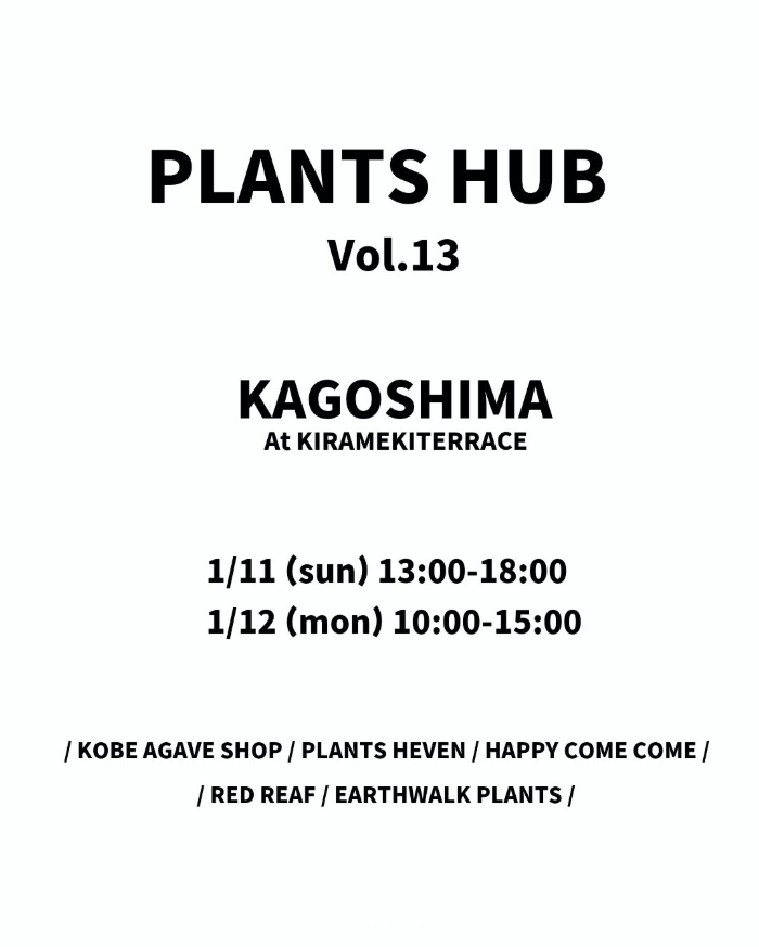 PLANTS HUB vol.13が鹿児島市で開催決定、アガベ専門店中心の出店者が集結