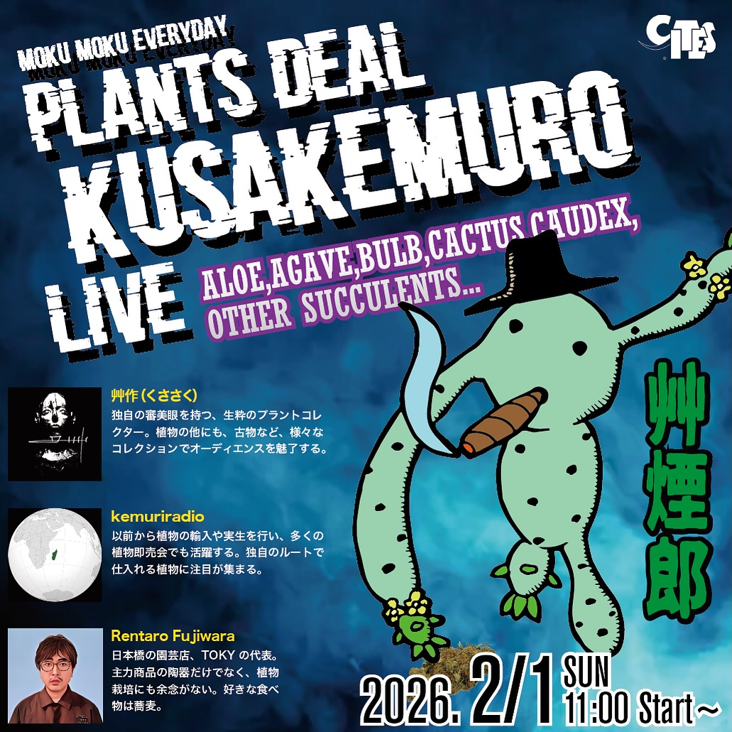 TOKY日本橋実店舗がPLANTS DEAL KUSAKEMURO LIVEを開催、AloeとAgaveなど多肉販売とライブを実施