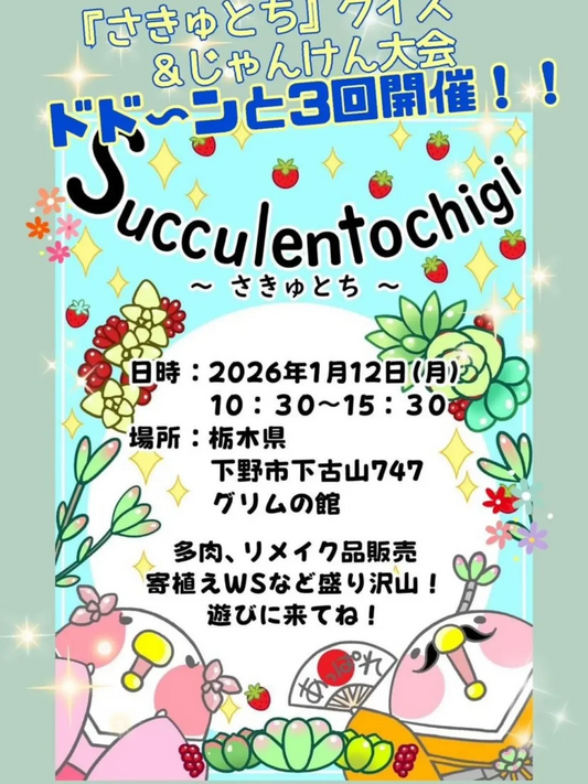 Succulentochigiさきゅとちがグリムの館で開催、多肉植物販売と寄せ植えWSが来場者体験に直結