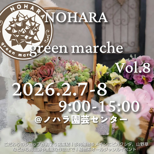 野原園芸センターがNOHARA green marche vol.8を開催、アガベと多肉植物と陶芸鉢の販売が集客導線に直結