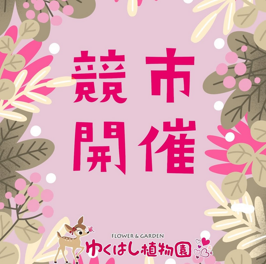 ゆくはし植物園がゆくはし植物園競り市2026を開催、新商品と旬の植物の値下げ競り販売が来場者の購買意欲を高める