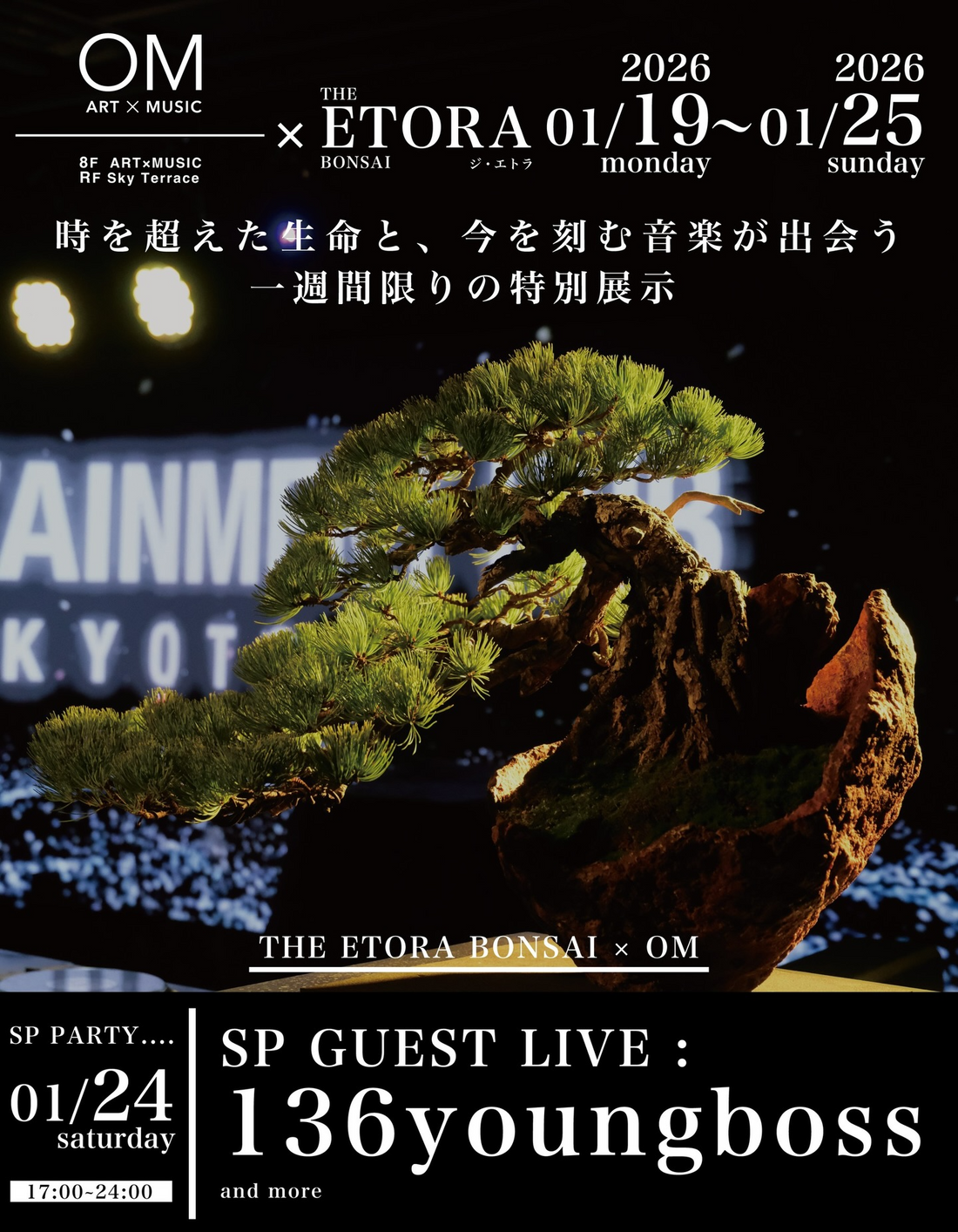 OM ART × MUSIC × THE ETORA BONSAIが1週間限定展示を開催、京都OMで盆栽と音楽の体験を提示