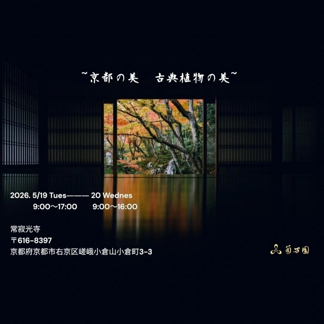 常寂光寺が京都の美古典植物の美2026を開催、春蘭と富貴蘭の展示が京都嵐山に