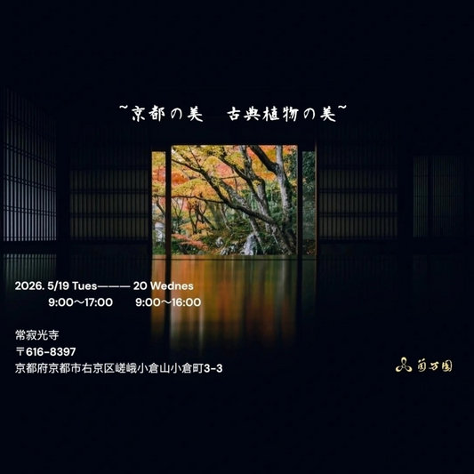 常寂光寺が京都の美古典植物の美2026を開催、春蘭と富貴蘭の展示が京都嵐山に