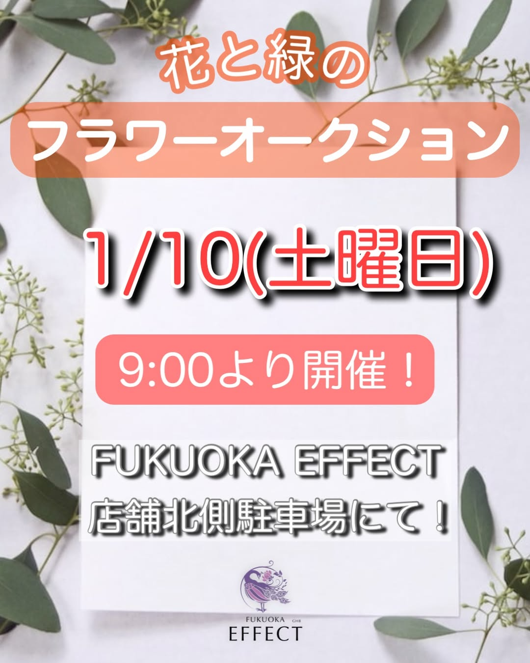 FUKUOKA EFFECTが花と緑のフラワーオークションを開催、参加型セリ体験が福岡市西区で実施