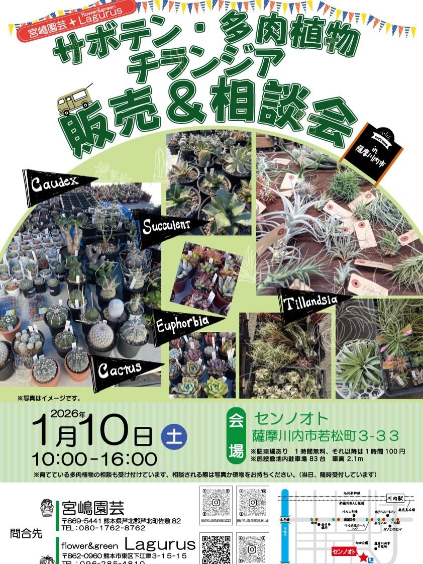 宮嶋園芸が販売＆相談会を開催、薩摩川内市センノオトにサボテンと多肉とチランジアが集結