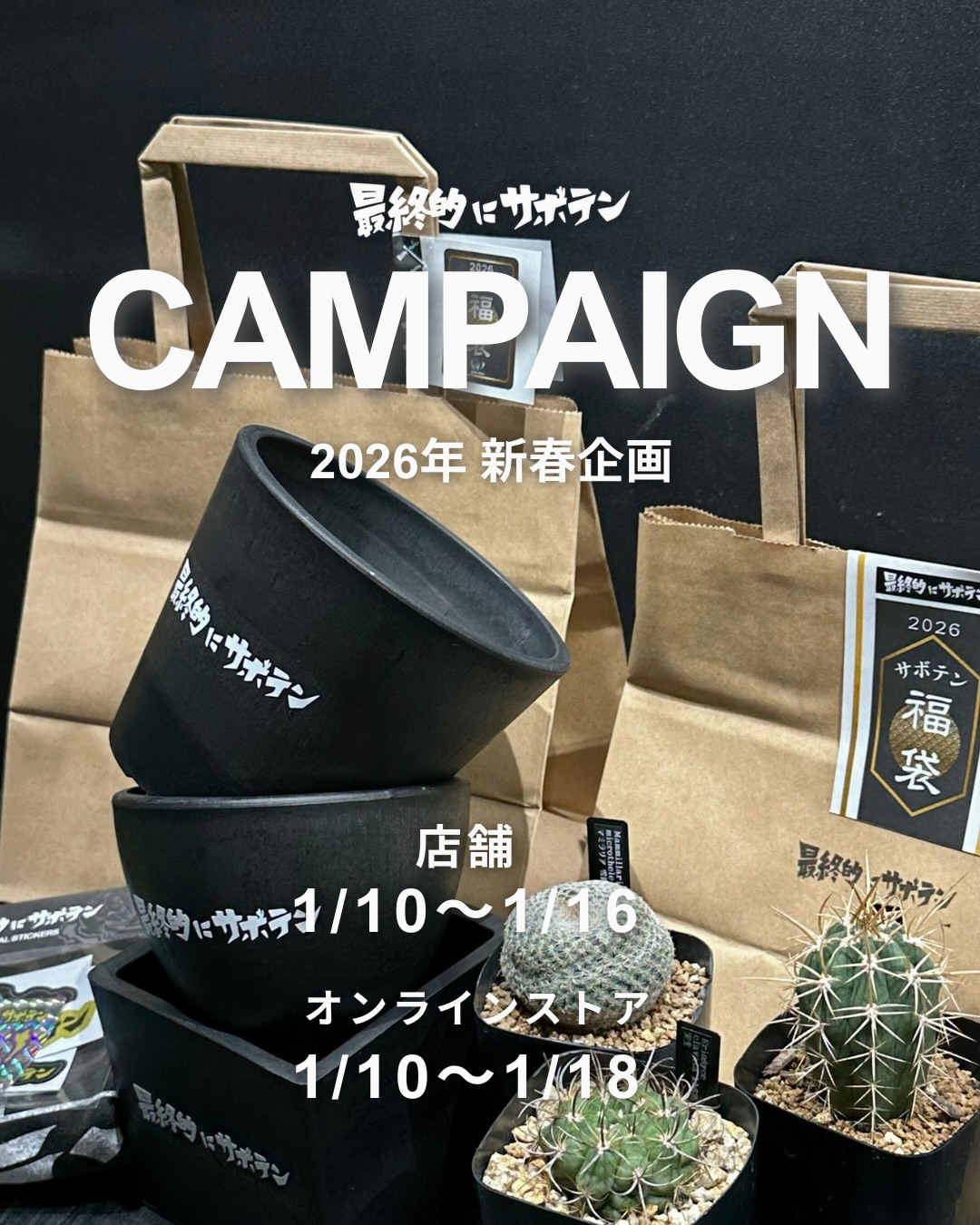 最終的にサボテンが最終的にサボテンCAMPAIGNを開始、新春福袋2種類の限定販売が年明け需要に対応