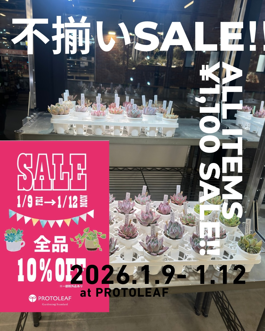 プロトリーフゆめが丘ソラトス店が不揃いSALE at PROTOLEAF2026を開催、全品10%OFFとlight terrace苗1,100円セールを実施