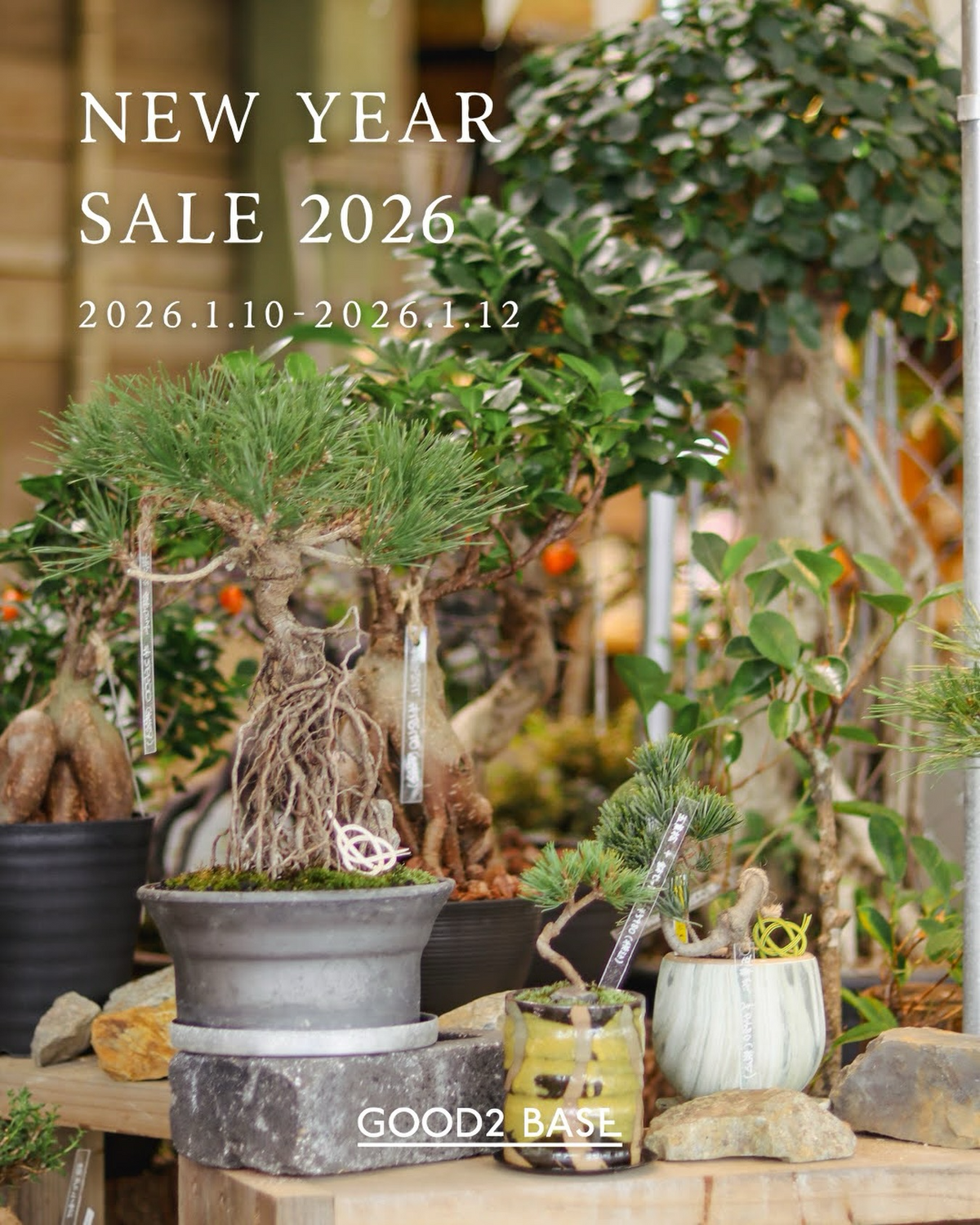 GOOD2BASEがNEWYEARSALE2026を開催予定、植物15%OFFと植え替え無料特典