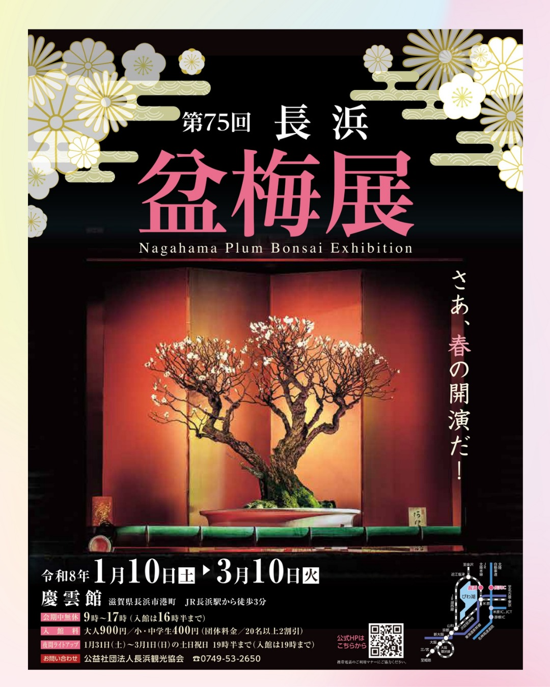 第75回長浜盆梅展2026が慶雲館で開催、梅の盆栽展示と夜間ライトアップを実施