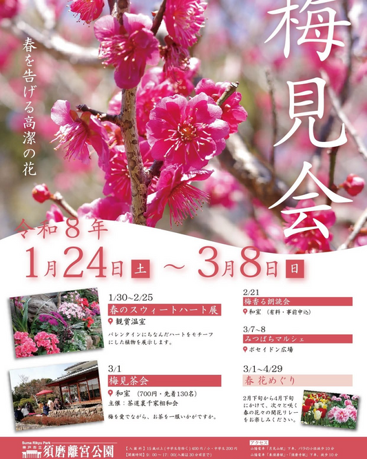 須磨離宮公園が梅見会2026を開催、約25種150本の梅が早春の園内を彩る