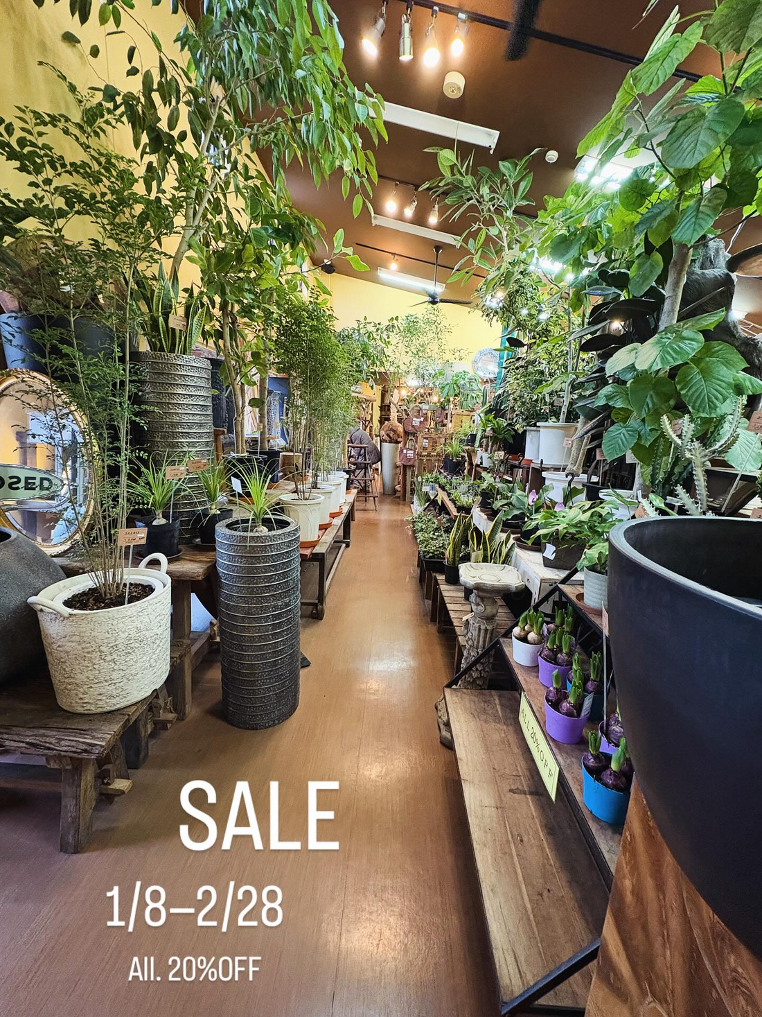 FLOWER FIELD Garden’sが商品入替SALE2026を実施、追分の花屋で全品割引が購入判断を後押し