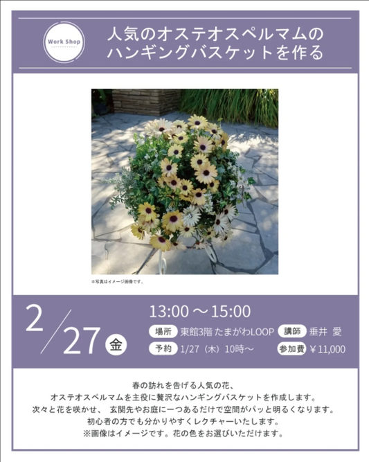 プロトリーフ二子玉川本店がハンギングバスケットワークショップ2026を開催、オステオスペルマム制作を学べる機会