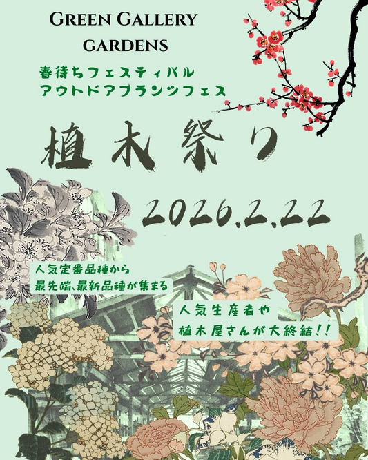 GREEN GALLERY GARDENSが第2回春待ちフェスティバル2026を開催、アウトドアプランツ販売会が庭づくりに