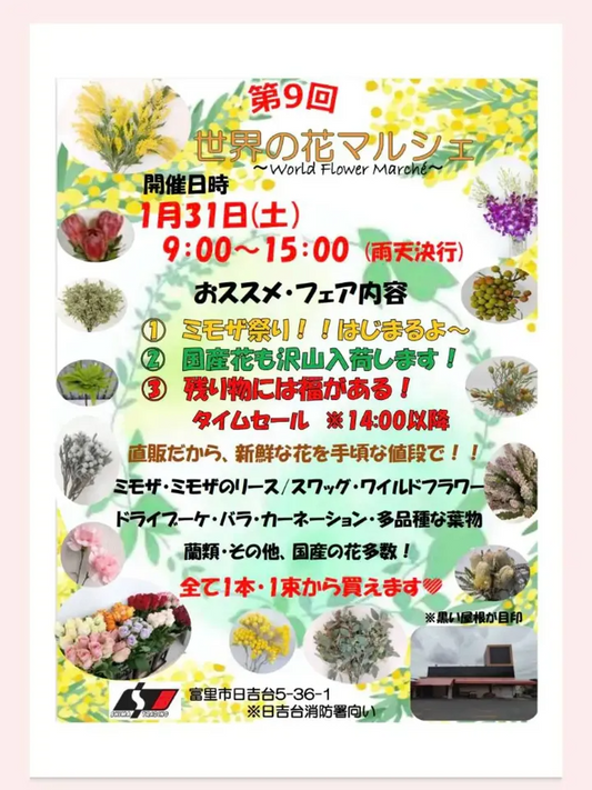 株式会社シマトレーディングが第9回世界の花マルシェ2026を開催、ミモザ祭りと輸入切花直売が来場者に
