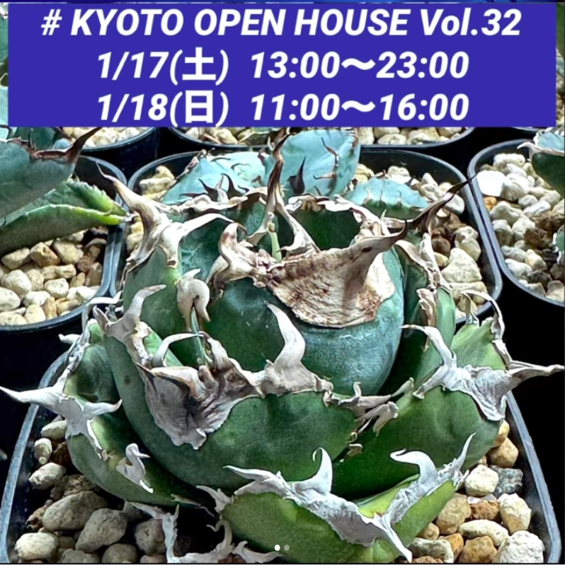 KYOTO OPEN HOUSE Vol.32がNew Year Party 2026を開催、京都市左京区でアガベとサボテンのハウス販売を実施