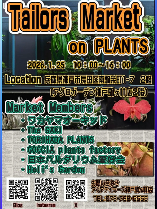 アクアテイラーズ神戸駒ヶ林店がTailorsMarketonPLANTSを開催、アグロガーデン神戸駒ヶ林店2階で植物即売会を実施