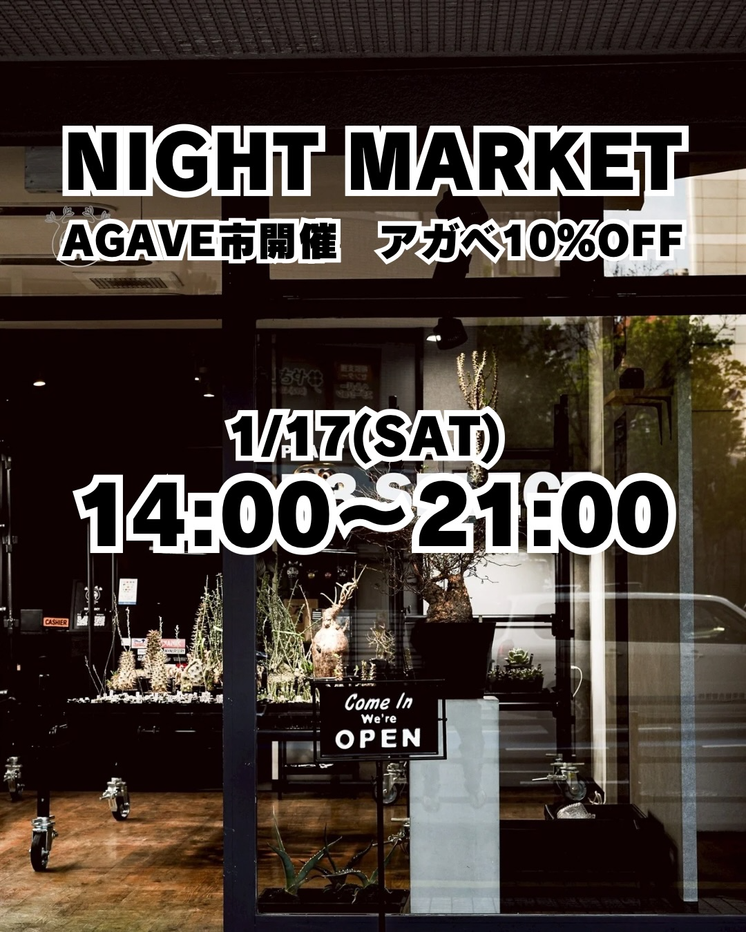 N3SELECTがNIGHTMARKET2026を開催、AGAVE市とアガベ10%OFFが福岡長浜で実施