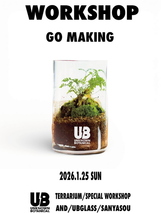 UNKNOWN BOTANICALがテラリウムワークショップを開催、トキワシノブの作成体験が初心者参加の機会に