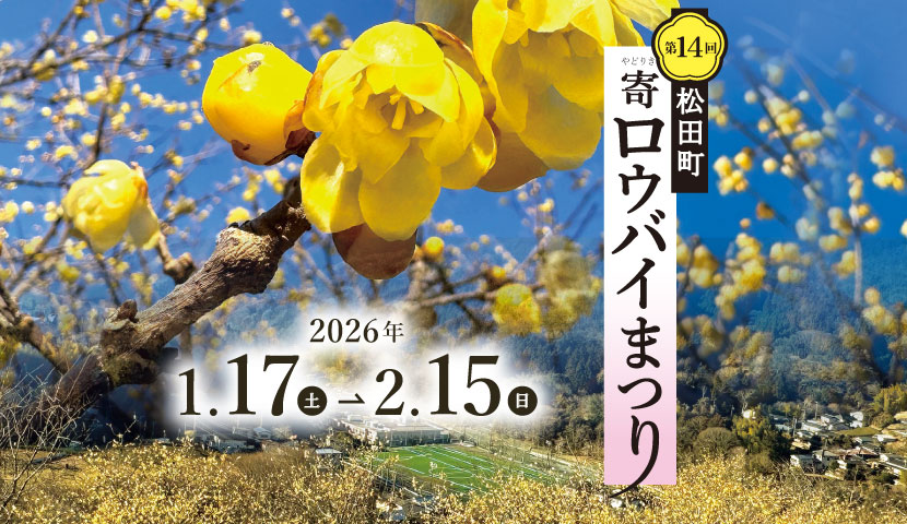松田町が第14回寄ロウバイまつり2026を開催、松田町寄ロウバイ園で冬の花観賞が楽しめる