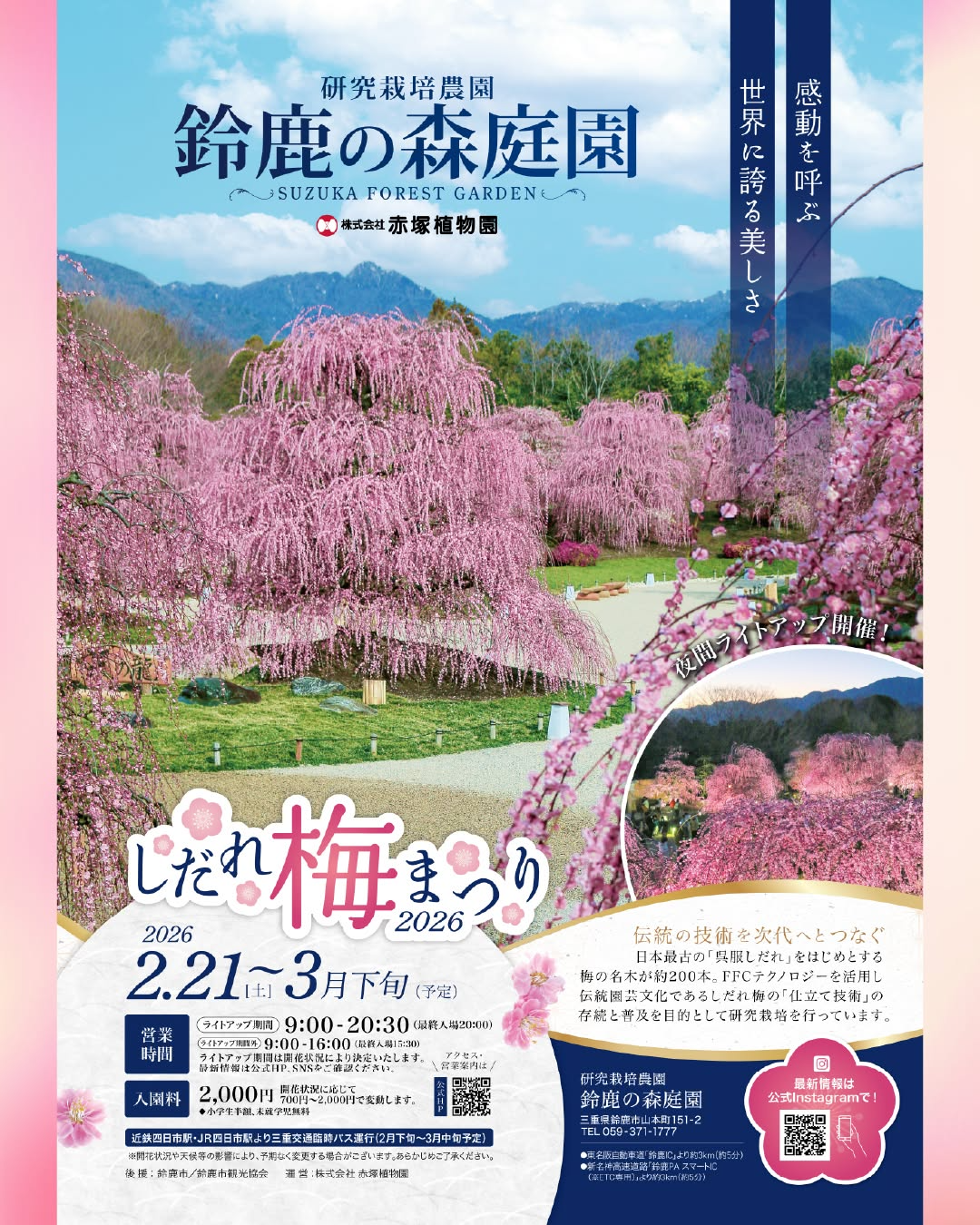鈴鹿の森庭園がしだれ梅まつり2026を期間限定開園、ライトアップ営業と変動制入園料が来園計画に