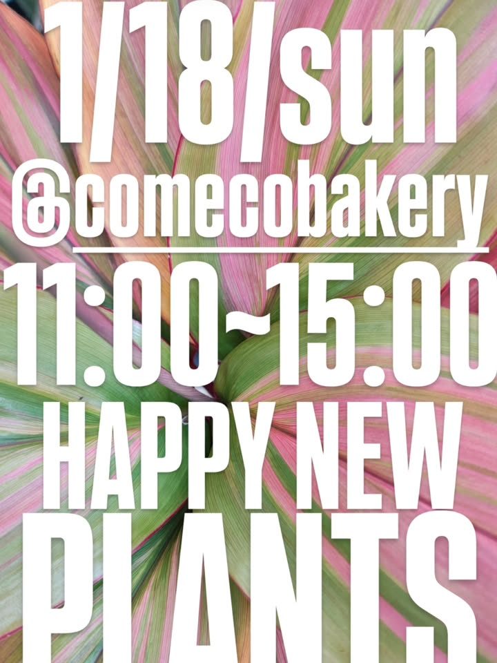HAPPYNEWPLANTSがコメコベーカリーで2026年開催、アガベ多肉サボテンユーフォルビアの出会いに