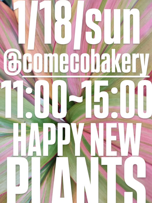 HAPPYNEWPLANTSがコメコベーカリーで2026年開催、アガベ多肉サボテンユーフォルビアの出会いに