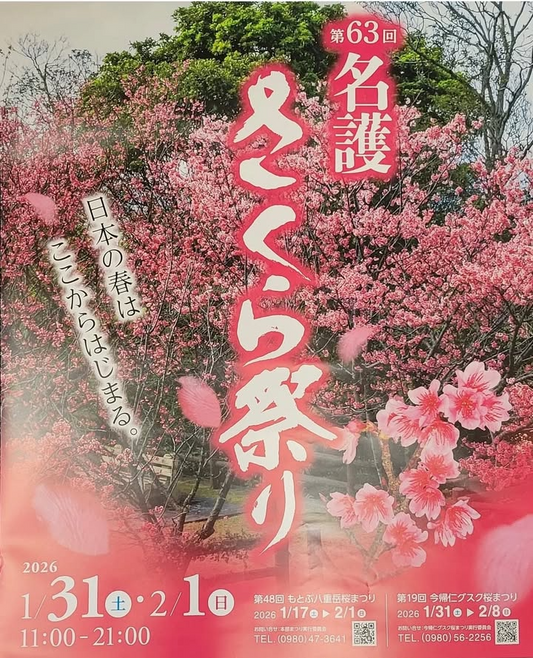 名護市観光協会が名護さくら祭り2026を開催、名護城公園と市街地でパレードや歩行者天国を実施