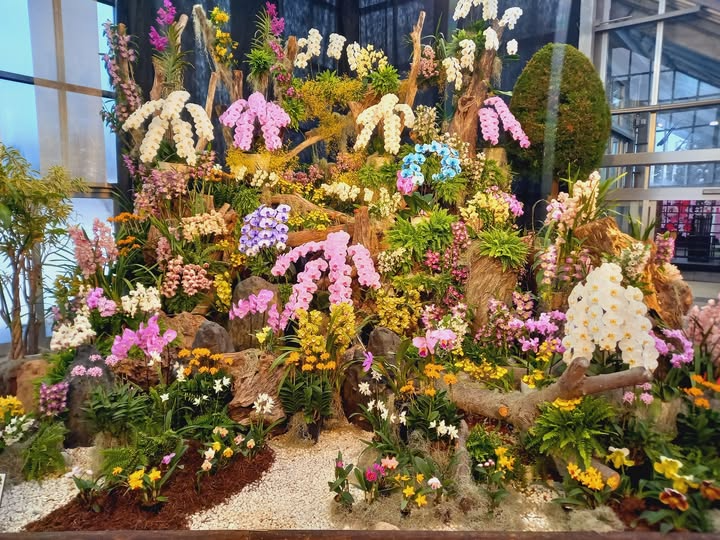 ブルーメッセあきたが世界の蘭フェア＆花の祭典を開催、巨大オブジェ展示と洋蘭販売が冬季の来場動機に