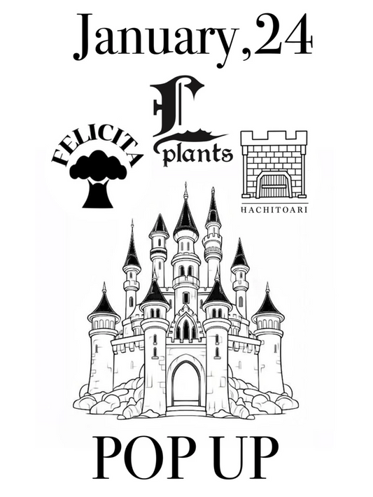 エルプラがフェリチタとHACHITOARIのPOPUPを開催、塊根植物と3Dプリンター園芸雑貨が可児市に集結