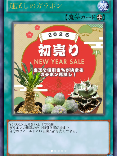 Kingsplants三島店が2026初売り運試しのガラポンを開催、出球割引と子株特典が新年SALEに