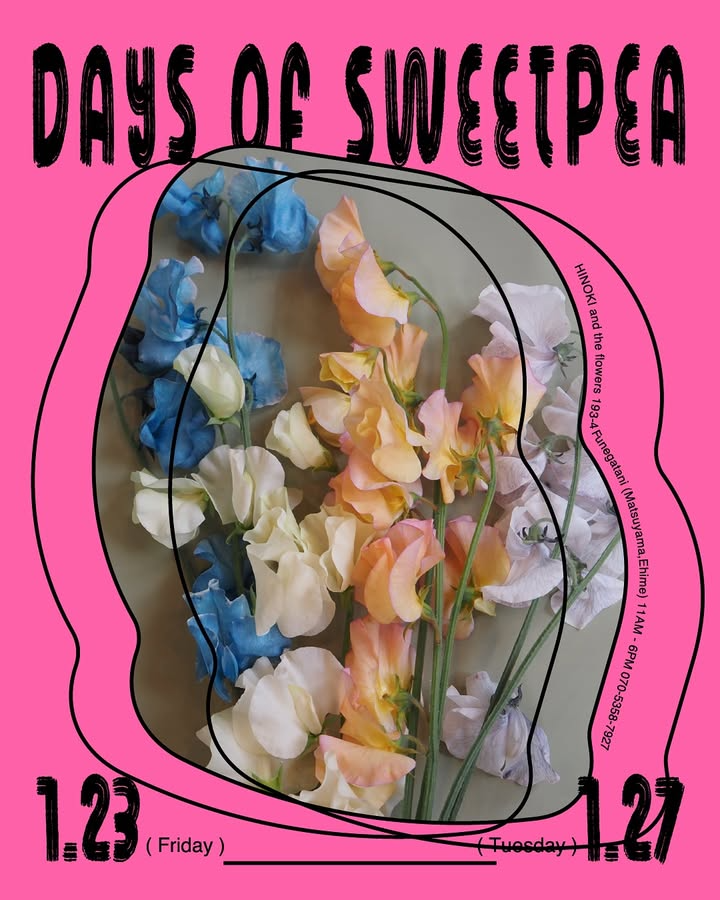 HINOKIandtheflowersがDAYS OF SWEETREAを開催、スイトピーだけで束ねるフェアが松山に