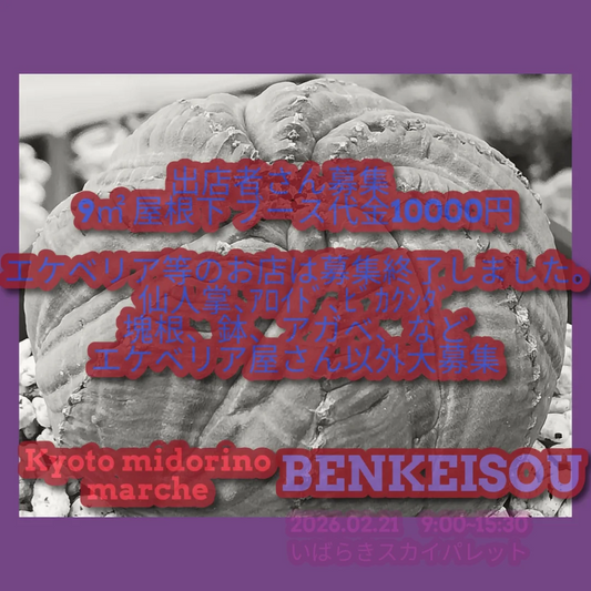 京都みどりのマルシェBENKEISOUが販売会を開催、仙人掌とアロイド塊根やAgaveの販売が来場者の選択肢に