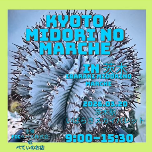 KYOTO MIDORI NO MARCHE IN 茨木が販売会を開催、北側南側ブースに専門店が集結しレアプランツ購入機会に