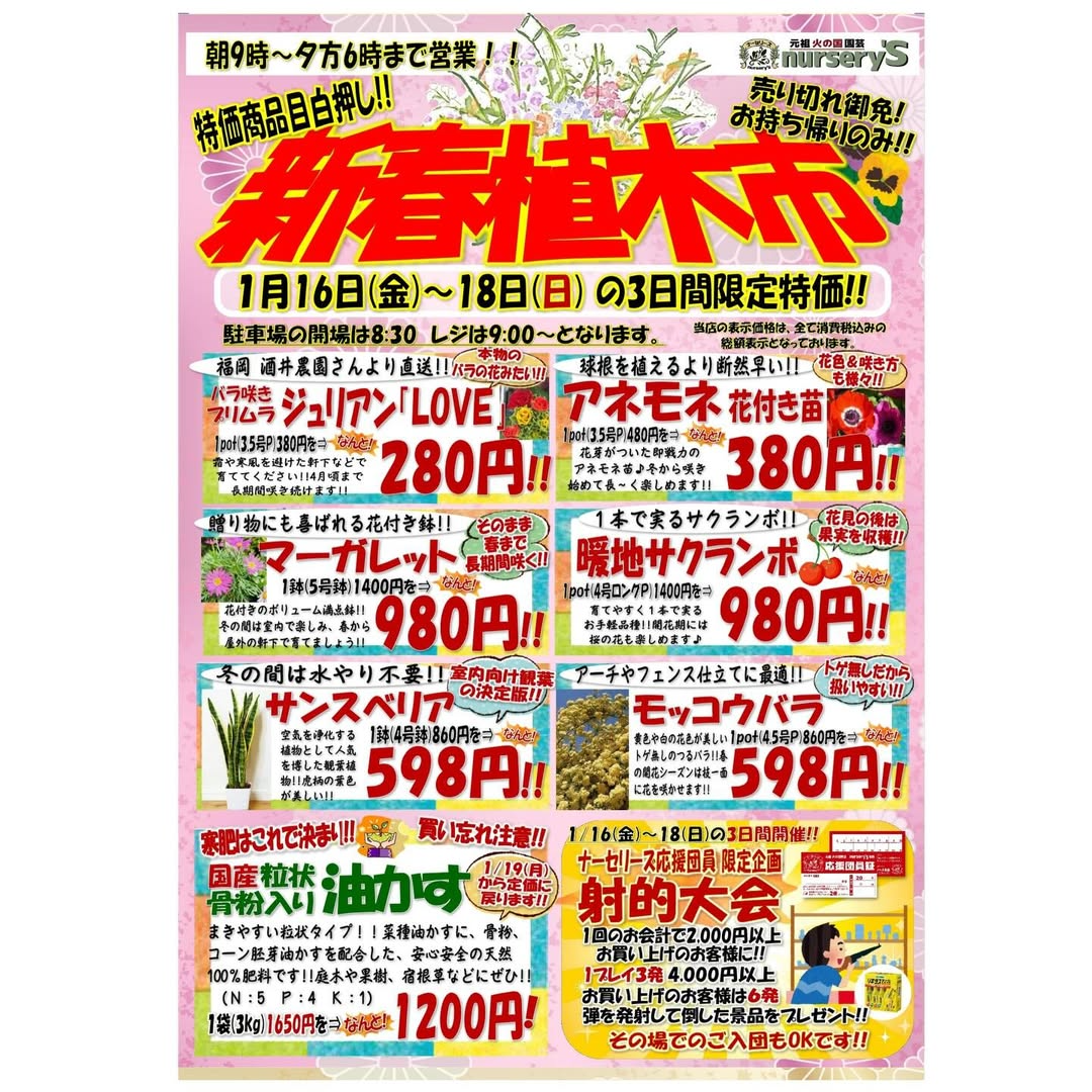ナーセリーズが新春植木市を開催、3日間限定特価と応援団員射的大会が来店動機に