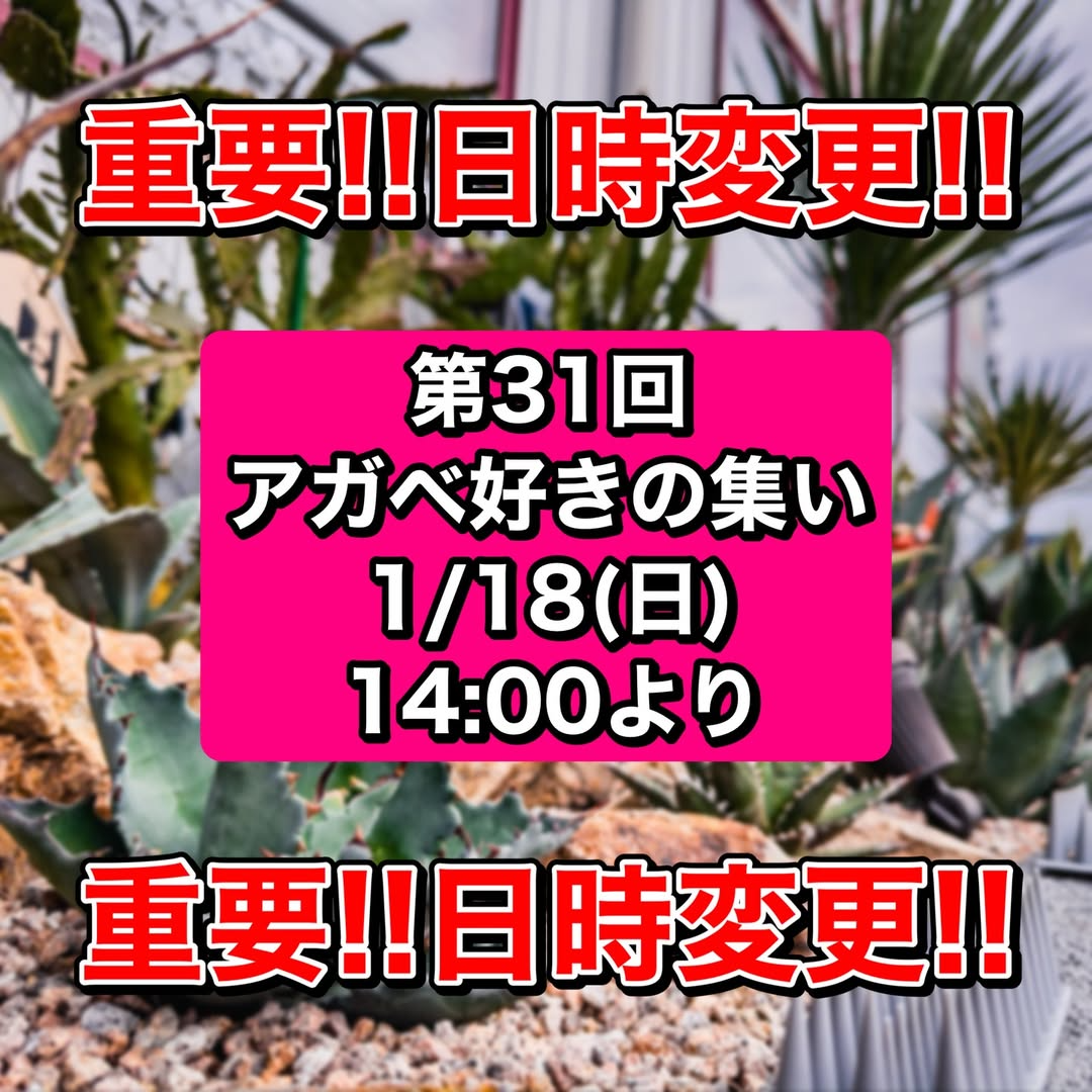 アメリカンザッカウェルカムが第31回アガベ好きの集いを開催、アガベ談義と5,000円上限販売が交流の場に