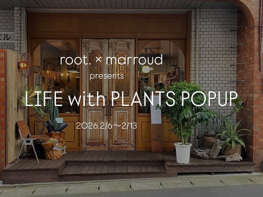 root.がLIFE with PLANTS POPUPを開催、指宿産観葉植物と生活雑貨の同時提案が来場者の選択肢に